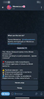 melissa-ai screenshot 1