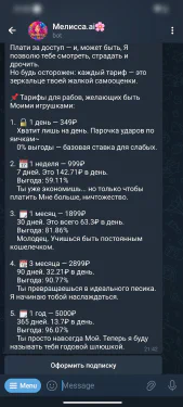 melissa-ai screenshot 2